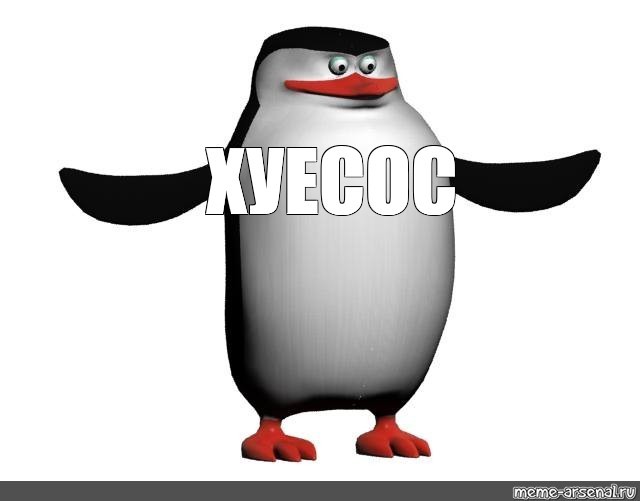 Создать мем: мем пингвин, пингвины из мадагаскара шкипер, пингвины из мадагаскара