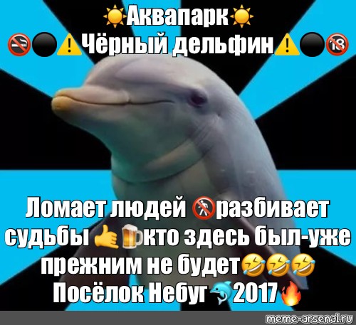 Черный дельфин на карте