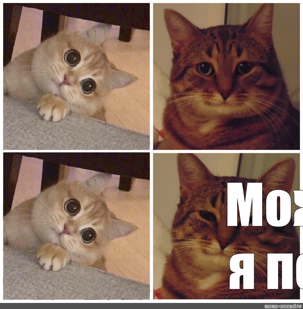 Сomics meme: "Можно я поем", Create comics meme, memes cats,cat m...