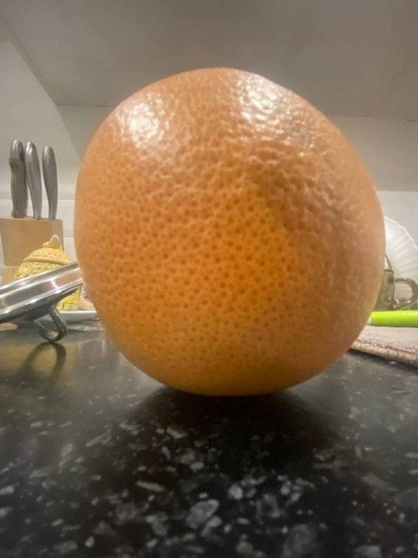 Создать мем: грейпфрут красный, апельсиновая корка, апельсины