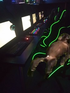 Create meme: ambient light, razer, neon lights