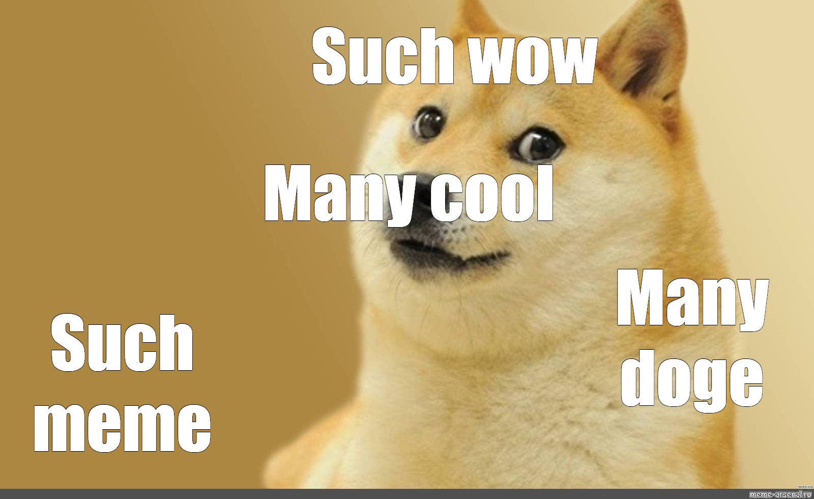 Meme: "Such wow Many cool Many doge Such meme" .