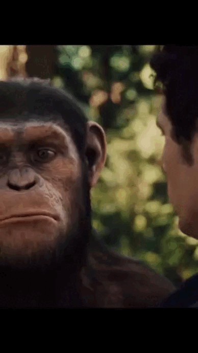 Create meme: planet of the apes 2011 caesar, a frame from the movie, Caesar from the movie planet of the apes