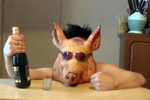 Create meme: drunk pig, alko the pig, jokes about pigs