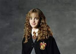 Create meme: Harry Potter, Hermione Granger Harry Potter