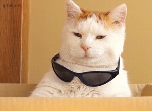 Create meme: cat, cat, cat in glasses