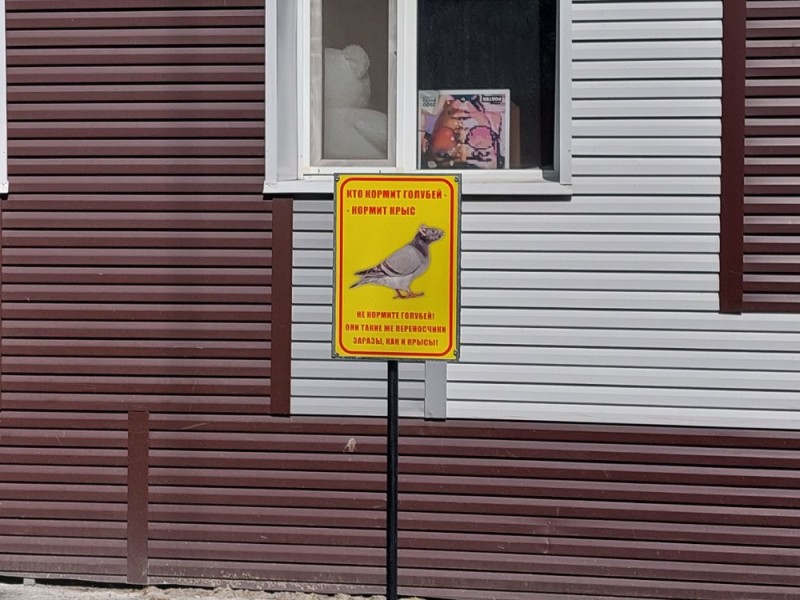 Создать мем: здание, голубь, табличка не кормить голубей