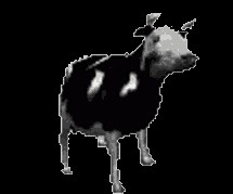 Создать мем: темнота, польская корова, танцующая корова