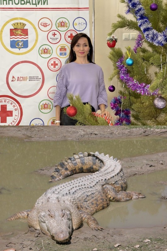Create meme: alligator crocodile, giant crocodile, the crested crocodile is the largest