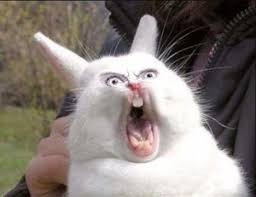 Создать мем: удивленный заяц, злой кролик, орущий заяц