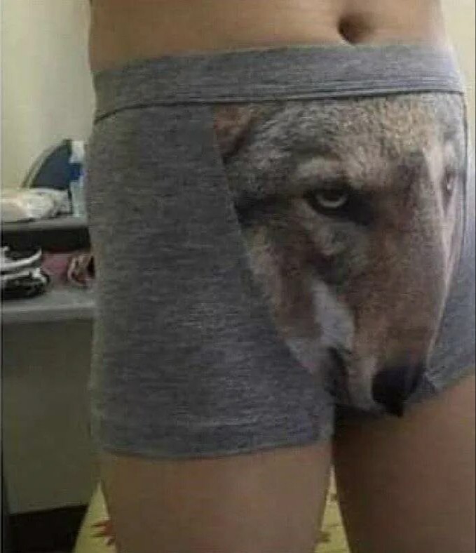 Create meme: wolf underpants, funny men's underpants, men's underpants with a wolf