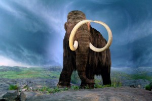 Создать мем: мамонт, mammuthus, мамонты титаны ледникового периода