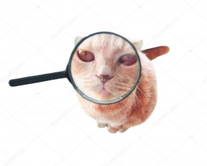 Create meme: cute animals, magnifier