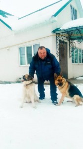 Create meme: dog training in Chelyabinsk, dog training, dog