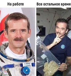 Create meme: hadfield, canadian astronaut Chris Hadfield, Christopher Hadfield