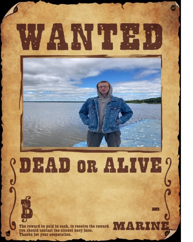 Создать мем: wanted poster, wanted dead, листовка wanted