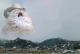 Создать мем: пушистый кот, кричащий кот, орущий кот в шляпе
