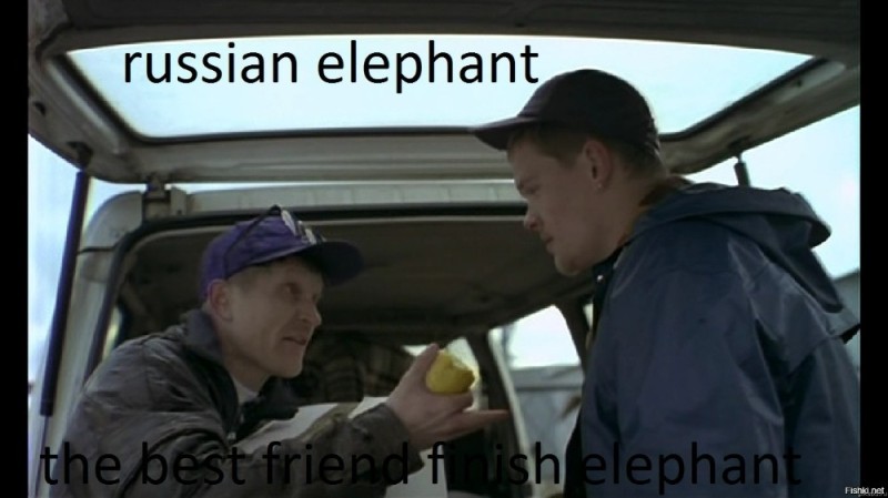 Create meme: peculiarities of the national hunt , The Russian elephant is the Finnish elephant's best friend, a frame from the movie