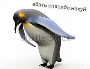 Create meme: I'm a penguin, bow to the penguin meme, penguin