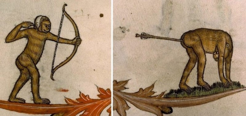 Создать мем: средневековый бестиарий мантикора, маргиналии средневековья, средневековые рисунки
