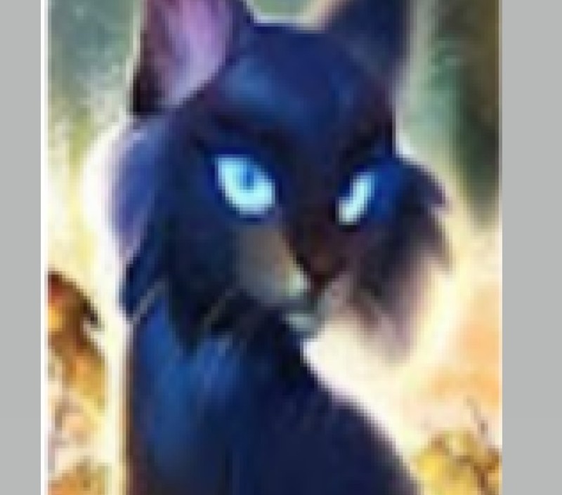 Create meme: warrior cats, cats warriors cats, cat art