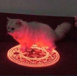 Создать мем: кот вызывает сатану, кот в круге сатаны, кот с пентаграммой