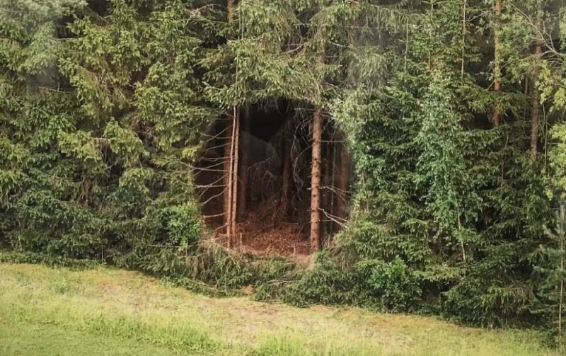 Create meme: nature , a tent in the woods, A hole in the forest