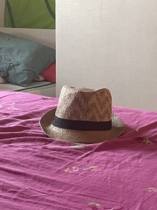 Create meme: summer hat, hat Fedora, hat