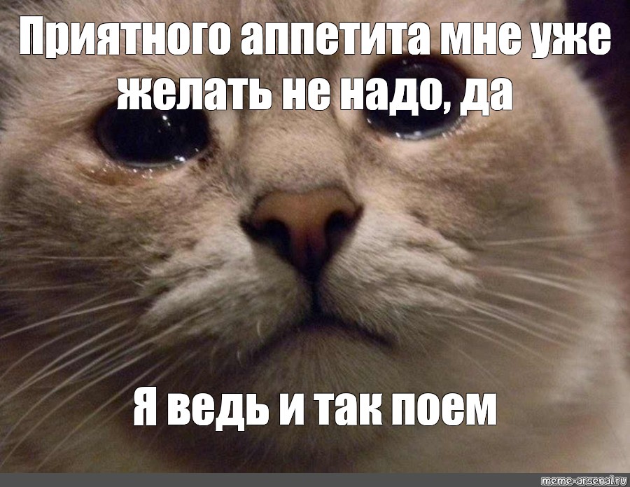 Грустное видео мем. Кот плачет. В мире плачет один котик. Мемы с котиками. Кот Мем.