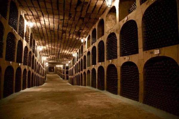 Create meme: wine cellar , wine cellar, cellar 