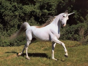 Create meme: horse, unicorn, unicorn