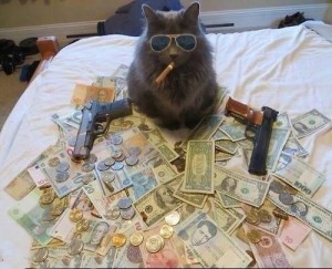 Create meme: cat money, cat with gun and money, funny pictures cat with money
