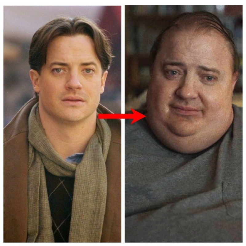 Create meme: Brendan Fraser, brendan fraser 2008, actor brendan fraser