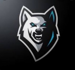Create meme: wolf clan, clan in standoff 2, logo for the clan