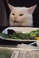 Создать мем: мемы с котами, голодный котик мем, мем кот за столом