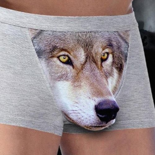 Create meme men's underpants with a wolf, wolf cowards, men's