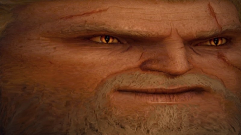 Create meme: infection witcher meme, memes the Witcher 3, the Witcher 3 wild hunt Geralt