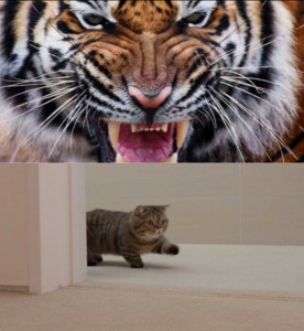 Создать мем: тигр животное, принт тигр, злой тигр