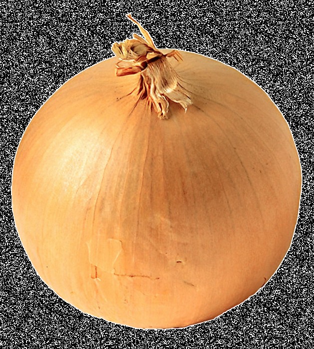 Create meme: onion, onion vegetable, onion shetana