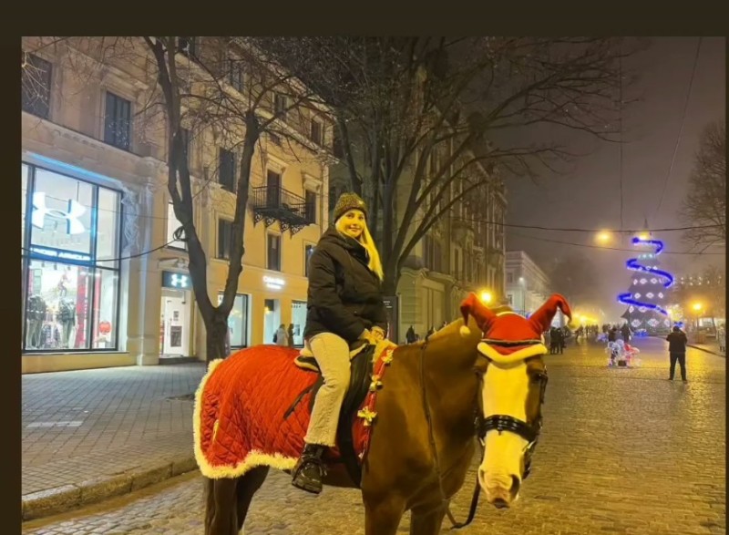Создать мем: страсбургская ярмарка 2020 года, лошадь, новогодний