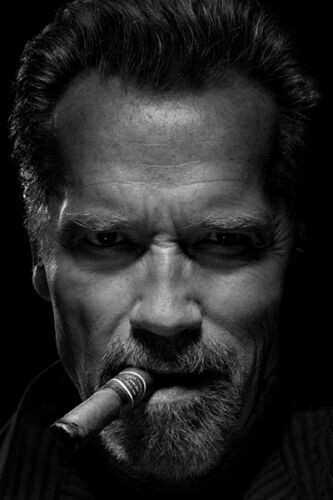 Create meme: Arnie with a cigar, Arnold with a cigar, Schwarzenegger with a cigar