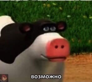 Создать мем: смешные животные, польская корова мем, корова из мема