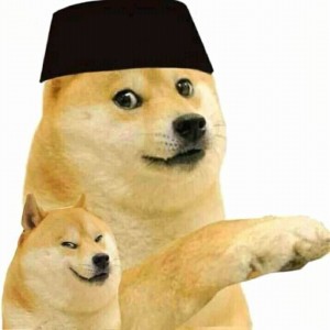 Create meme: Shiba inu dogs, wow doge meme, doge