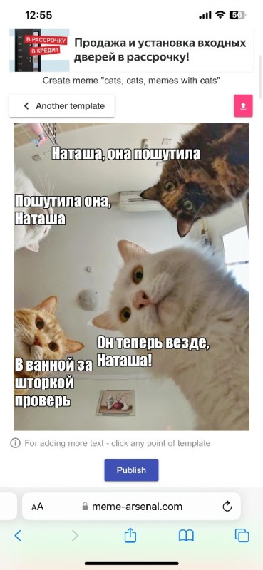 Создать мем: мемы с котами, мемы про наташу и кошек, кот