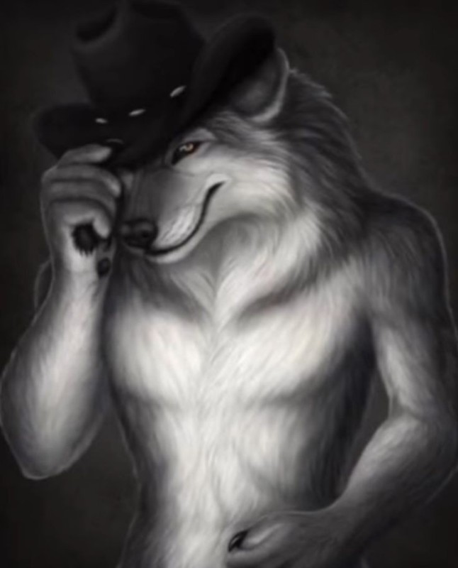 Создать мем: волк волчонок, волк бандит, волк в шляпе
