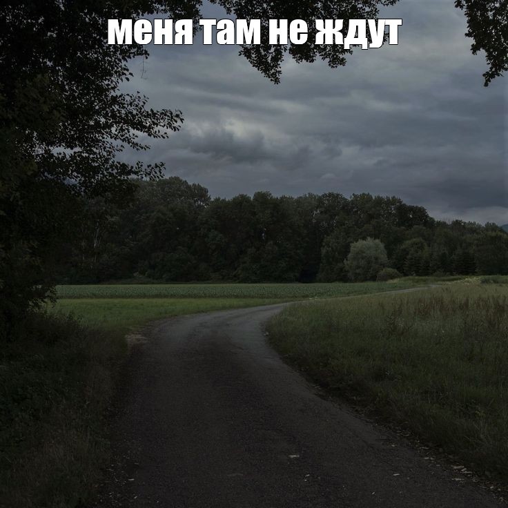 Create meme: about roads, road forest, road 