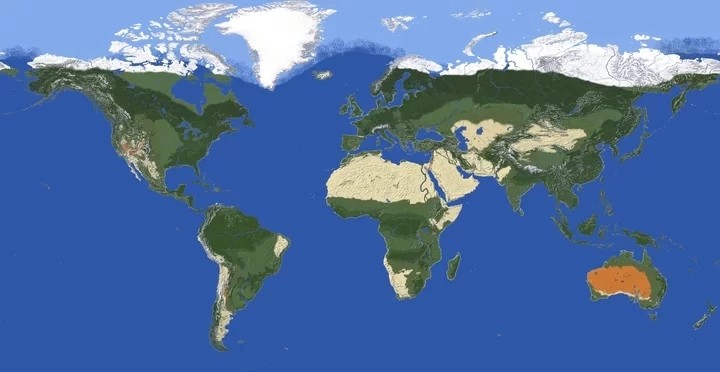 Создать мем: карта мира, minecraft map, текстура планеты плоской земли