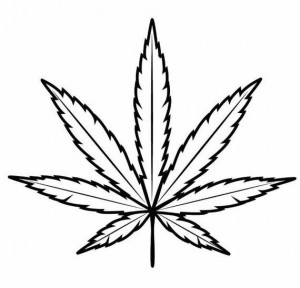 картинка листика марихуаны