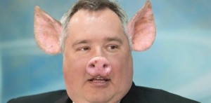 Create meme: picture pig oink, Rogozin Dmitry Olegovich resignation, oink oink photo