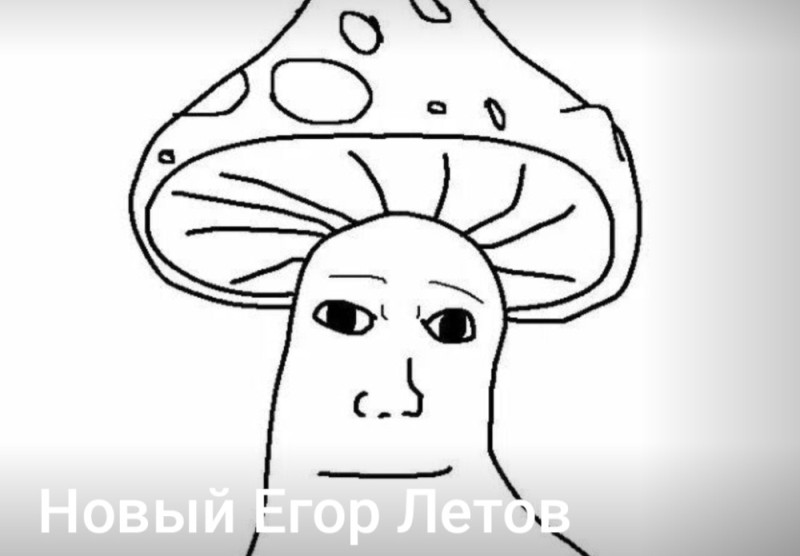 Создать мем: mushroom man, shroomjak, грибы на голове
